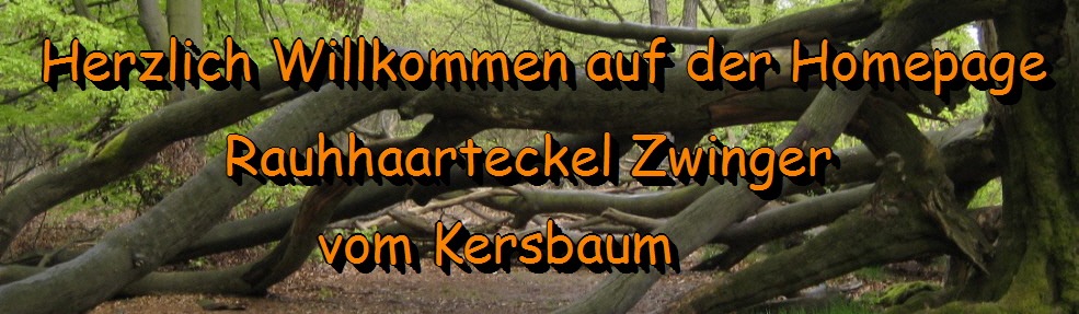 Baustelle - vomkersbaum.de